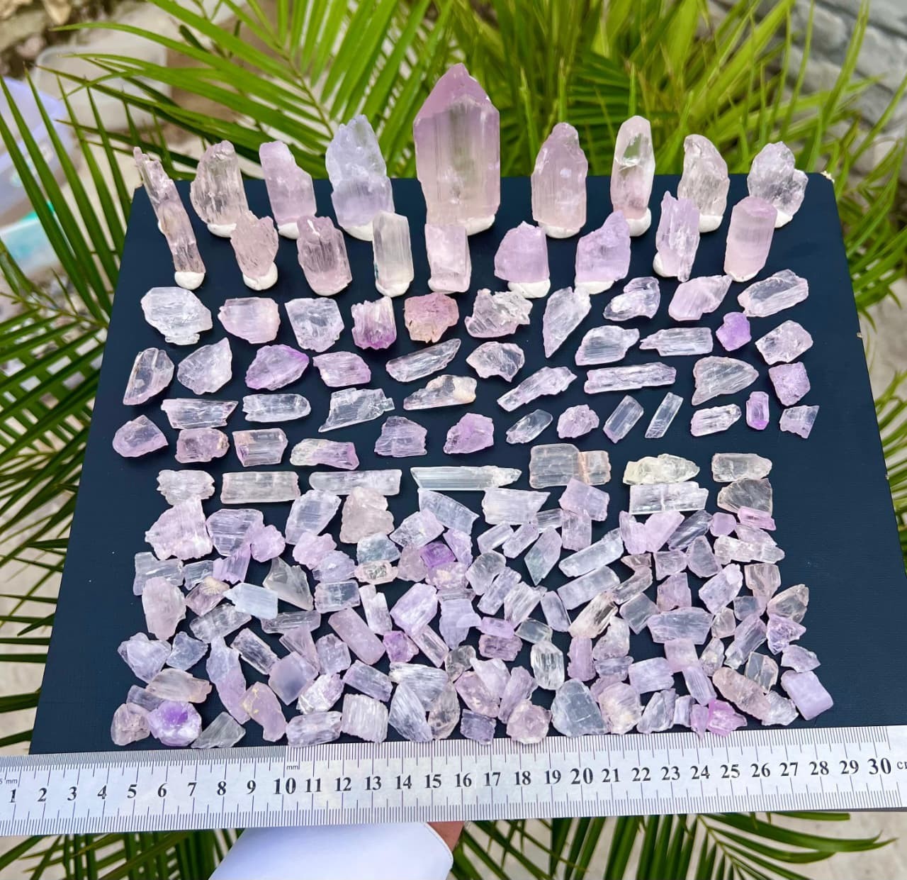 1000 Gm Beautiful Natural Pink Kunzite Crystals Lot From Afghanistan