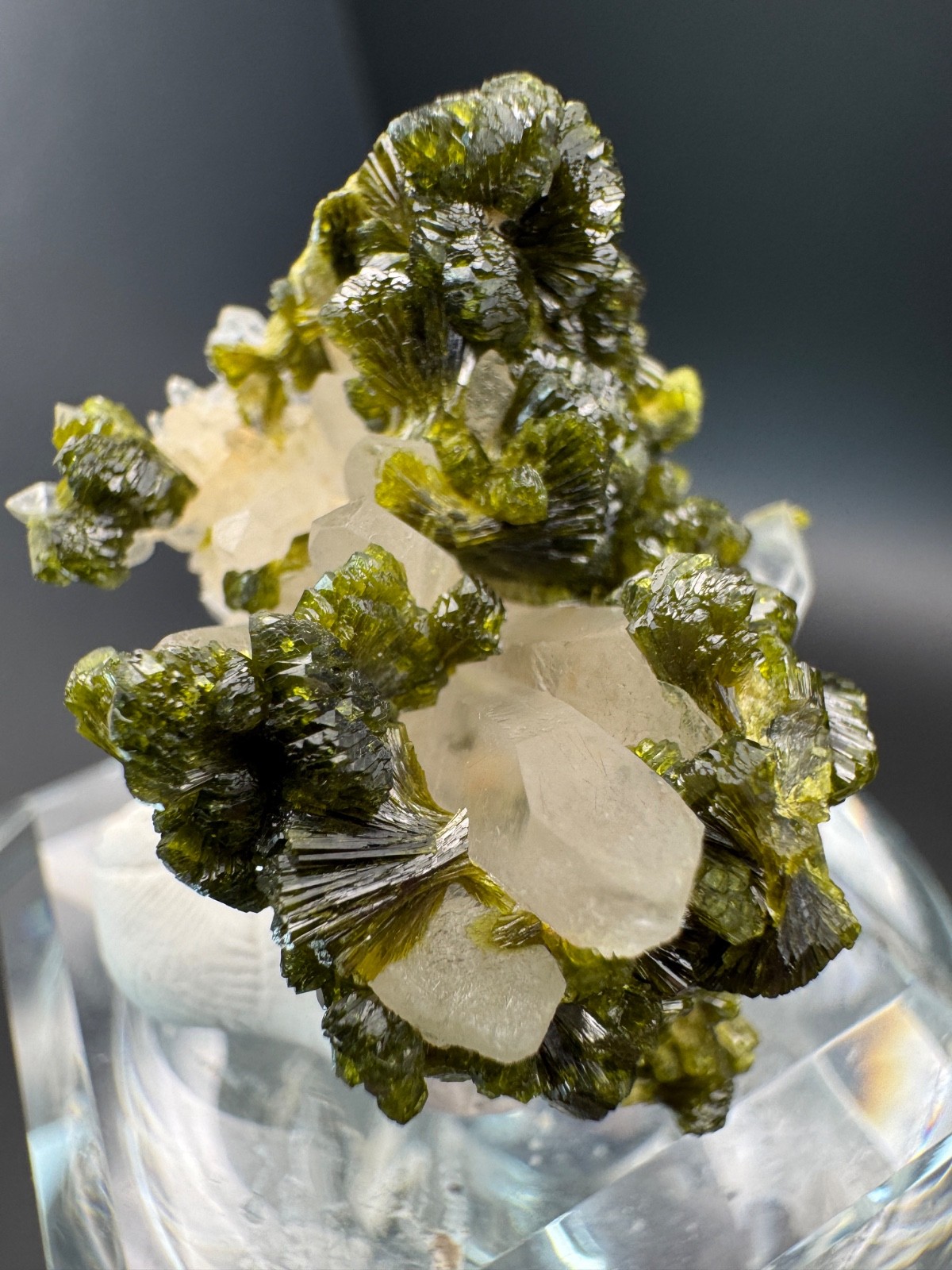 6804 High Quality Gemmy and Bright Green Epidote on Quartz in Perky 15g Morocco