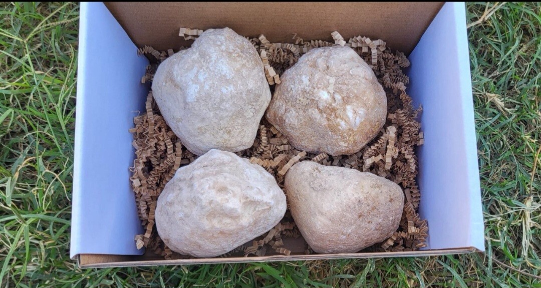 Four Large Crystal Quartz Geodes Box Set Gift Box