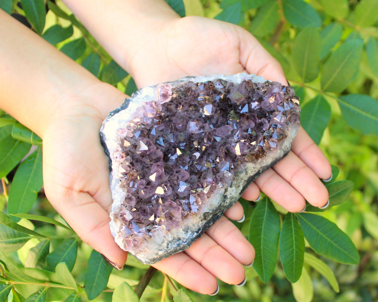 Clearance Amethyst Crystal Clusters – Natural ‘B’ Grade Cluster Druze Specimens