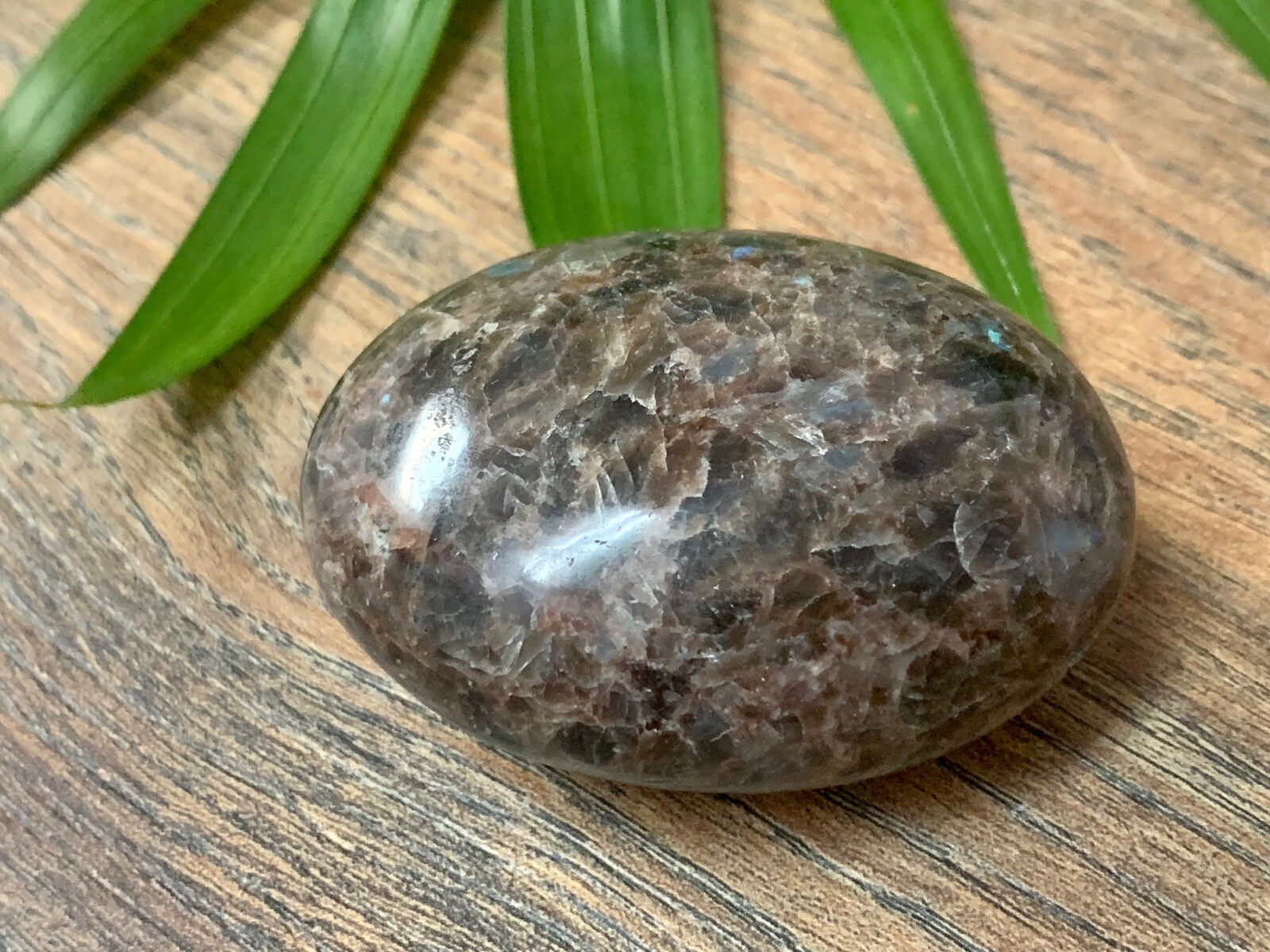 Galaxy Palm Stone Large Soap Stone Flat Therapy Meditation Specimen Reiki Cha