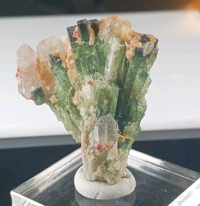 69.3ct Bicolor Tourmaline Crystal Spray, Quartz Crystals & Albite, Cruzeiro Mine