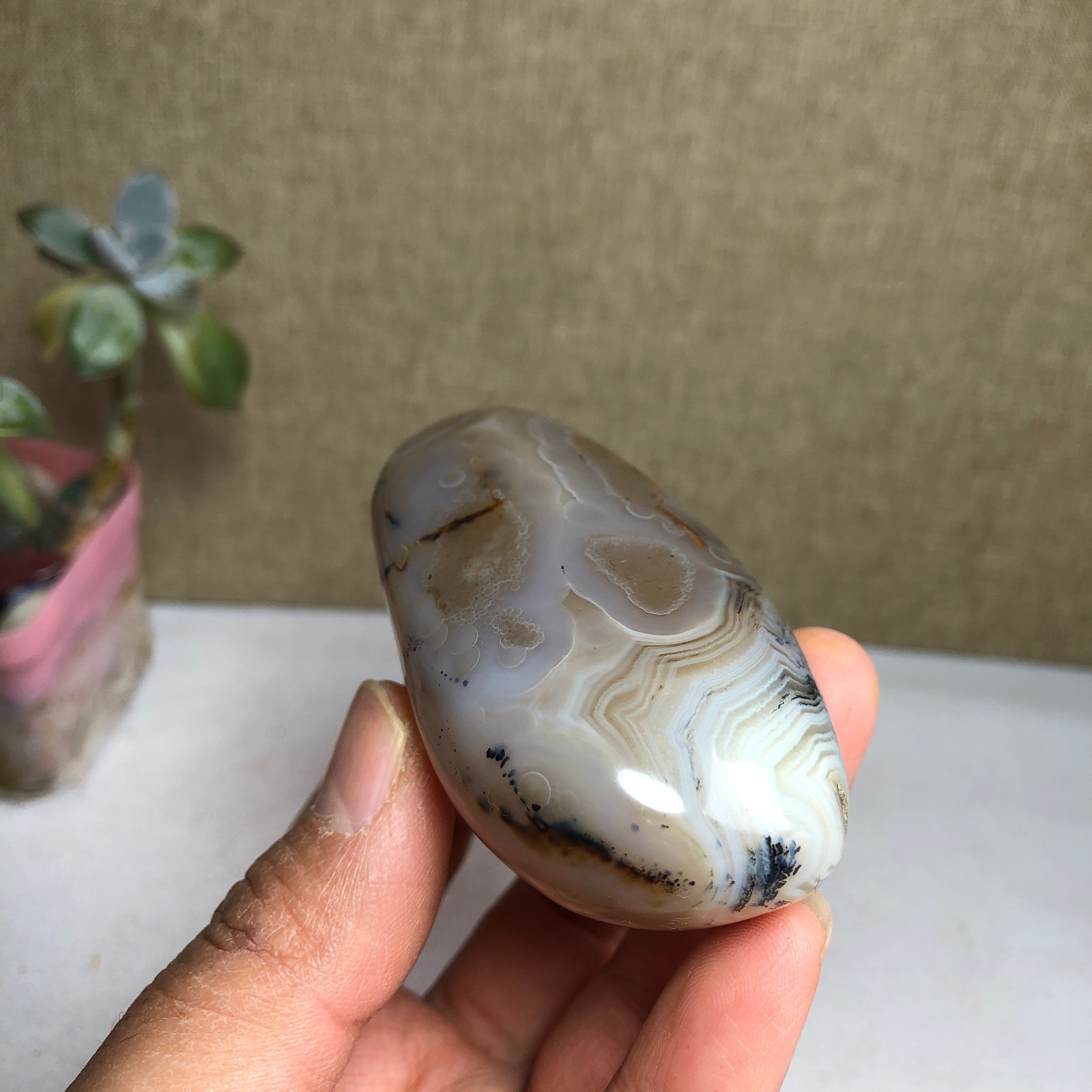 73mm Natural aquatic plants agate pretty Crystal specimens 123g A1953