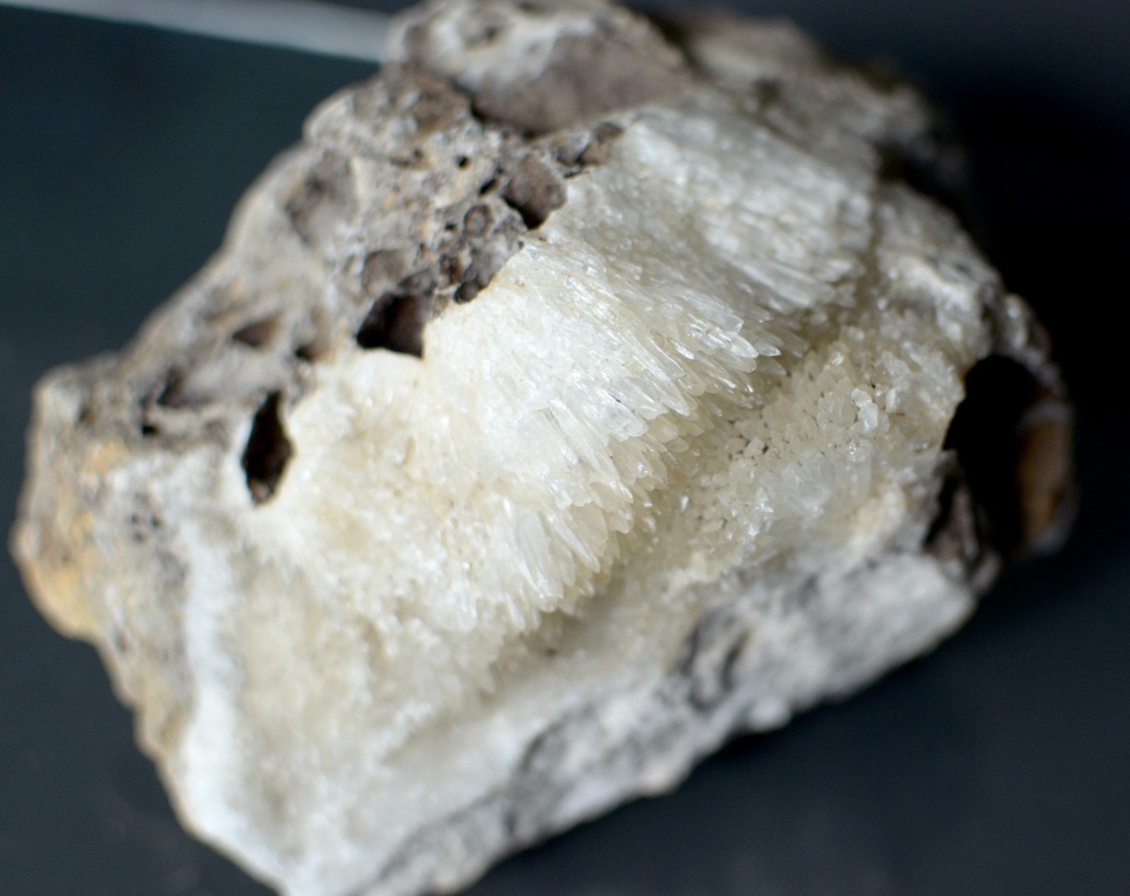 Fluorescent Aragonite Needle Spray in Fossil Matrix | Crystal River, Florida