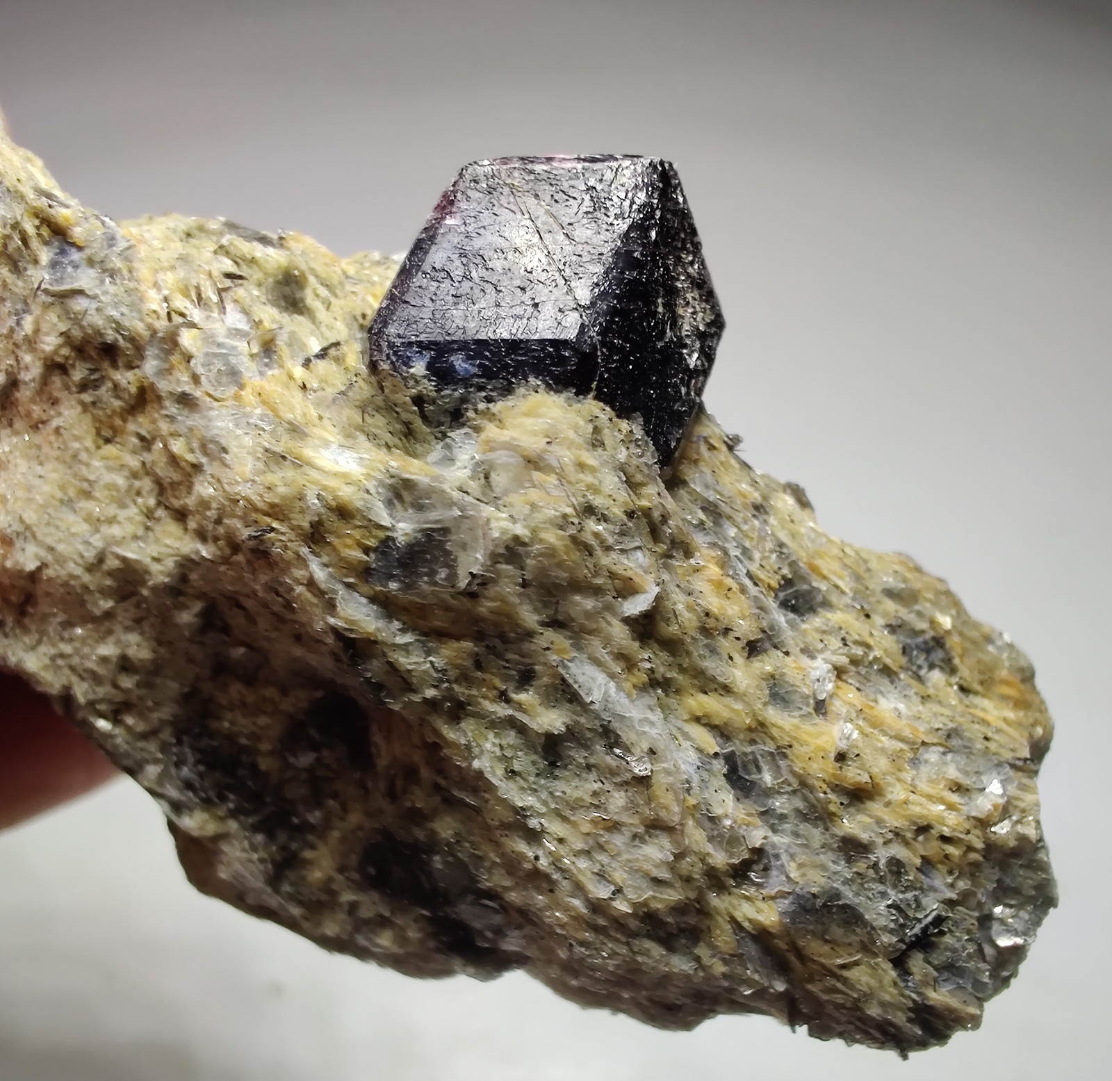 Garnet crystal on Schist, attractive specimen. 24 grams.