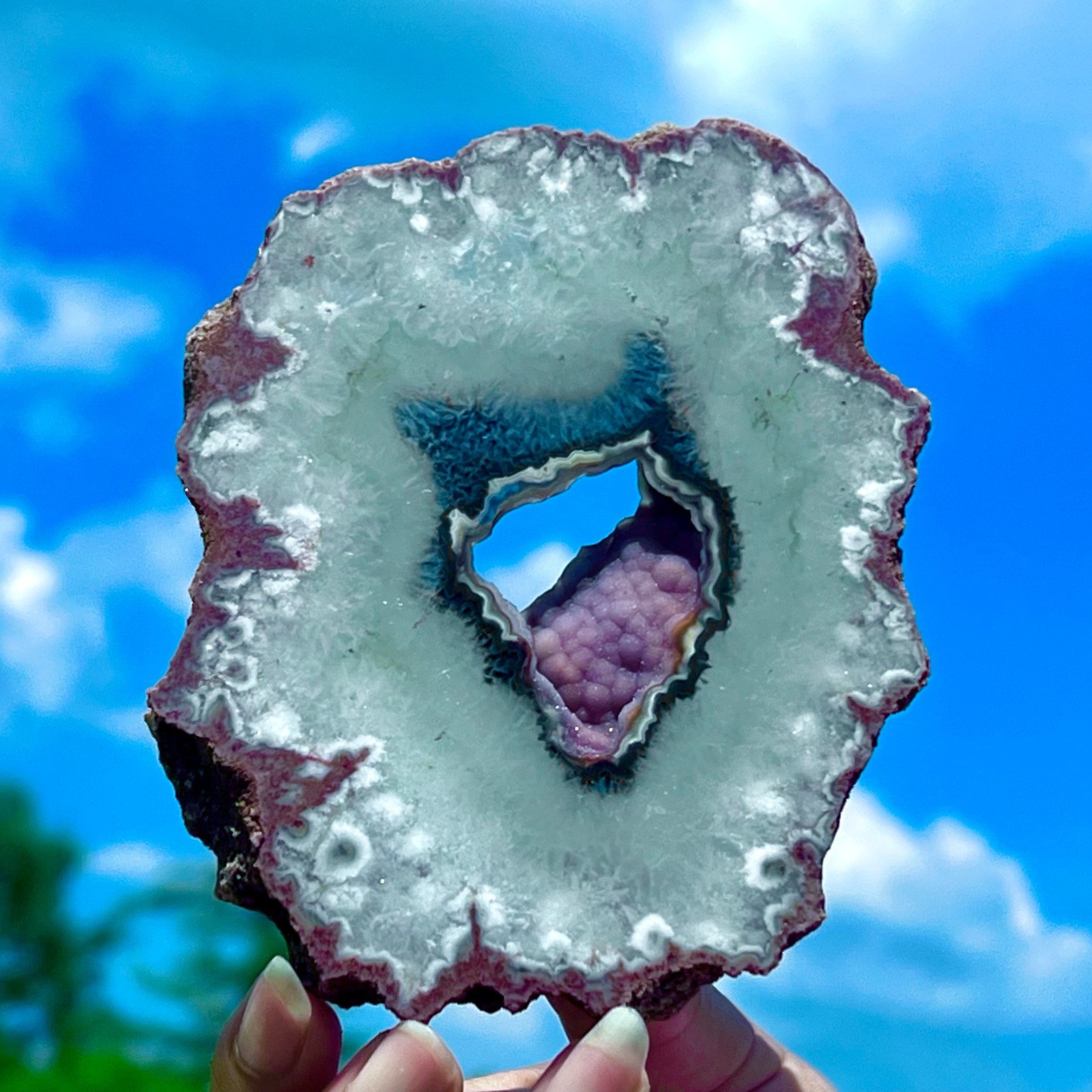 212G Natural Colorful Lace Agate Geode Slice Extra Large Gem From Argentina