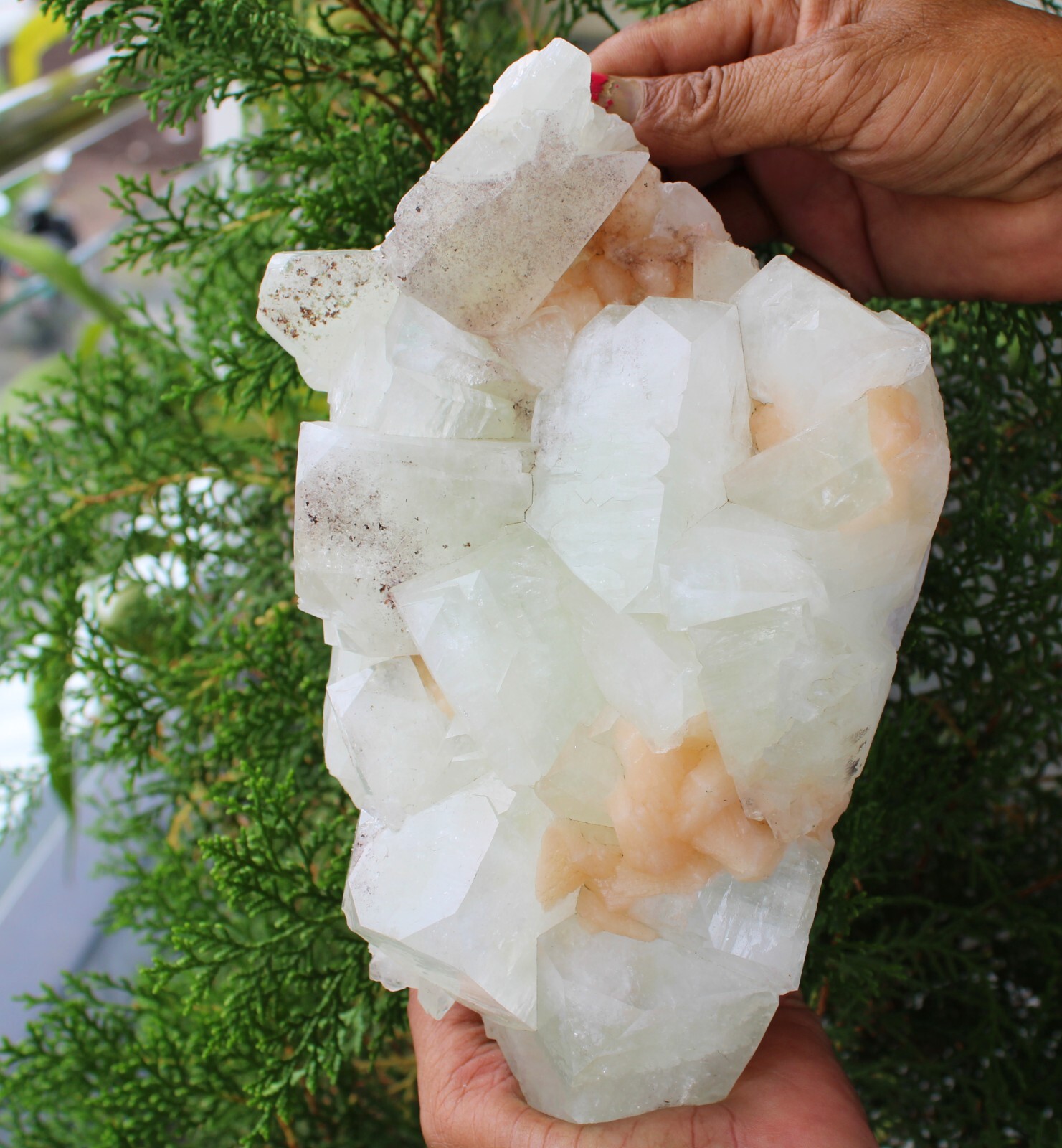 Green Apophyllite Crystals With Stilbite On Matrix Minerals Specimen