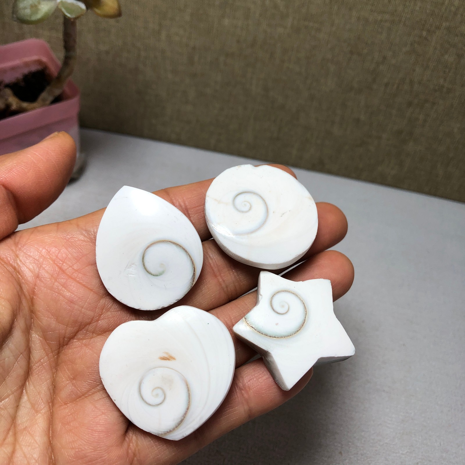 4pcs Rare sun shell Reiki Shiva Eye ocean semi-precious stone 75g A2758