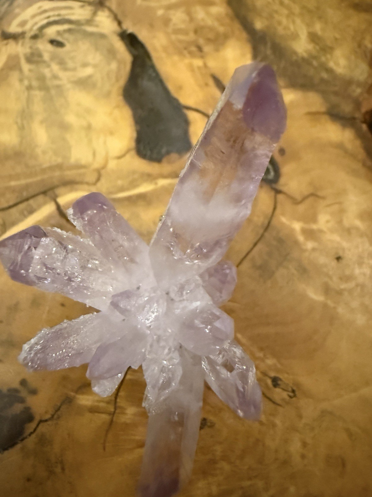 Veracruz amethyst crystal Cluster collector specimen w Druzy