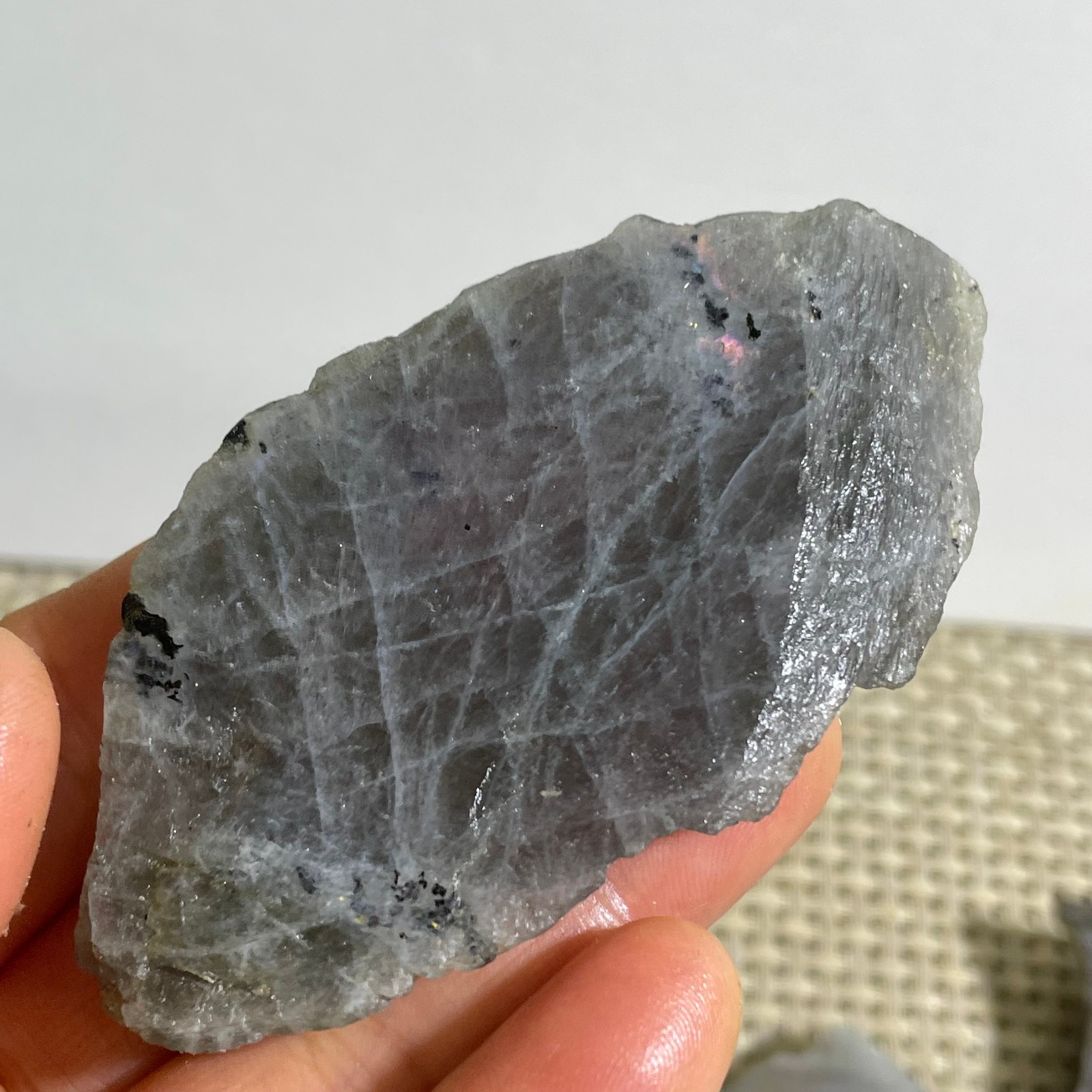 Rare Flashy Labradorite Slab Crystal Rough Gemstone Raw Labradorite Rough 45g