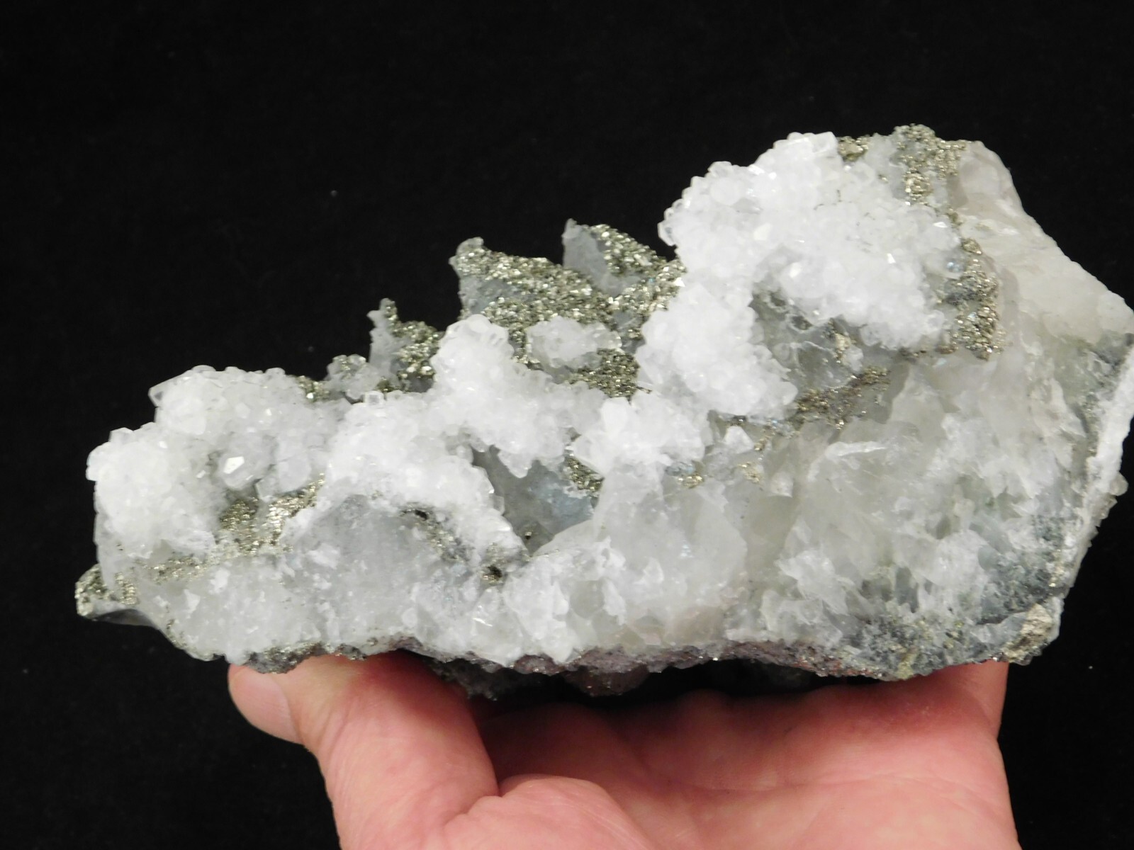 BIG! Pyrite Crystal Cluster on DOGTOOTH Calcite Crystals! From Mexico 1202gr