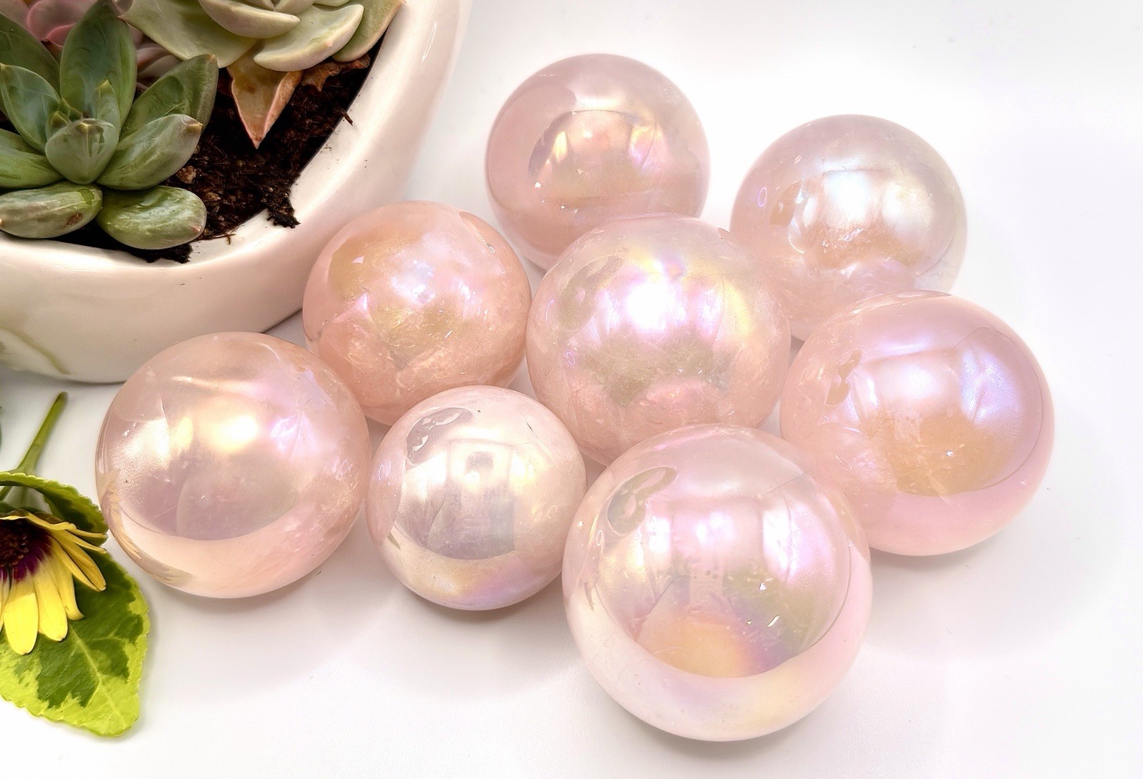 Wholesale Lot 2 Lb Angel Aura Rose Quartz Spheres Crystal Healing Energy