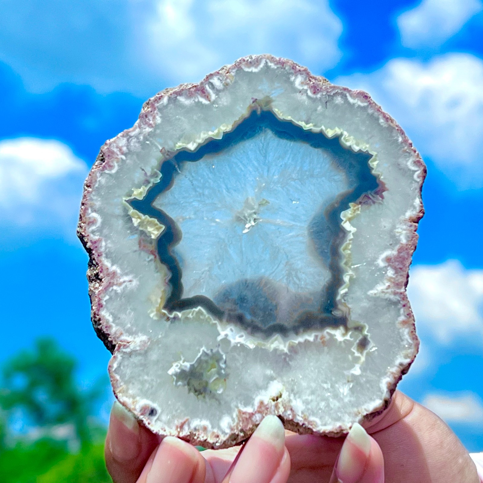 159G Natural Colorful Lace Agate Geode Slice Extra Large Gem From Argentina