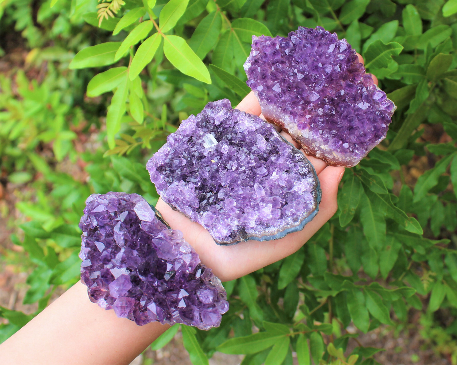 Amethyst Geode Druzy Crystal Quartz Cluster Natural Specimen: You Choose Size!