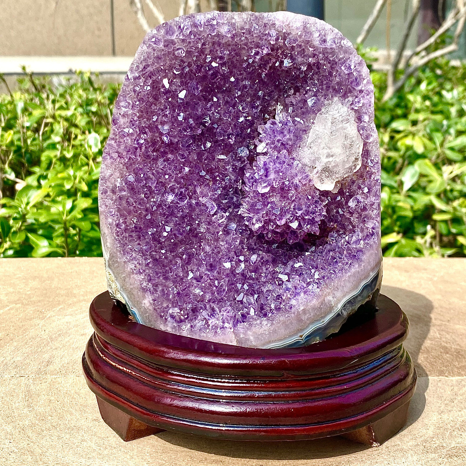 6.62LB Natural Uruguayan Amethyst Quartz Cave Geode Crystal Healing+base