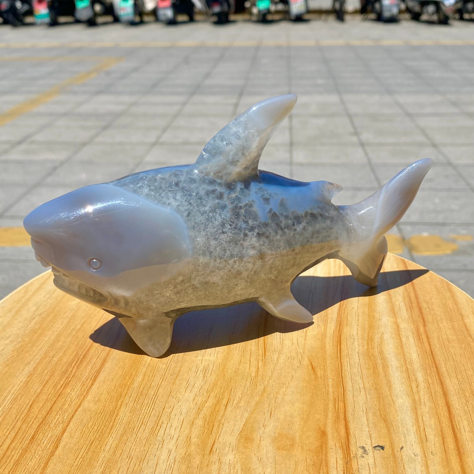 1.8LB Natural Agate Hand Carved Shark Figurine, Ocean Power Crystal Statue