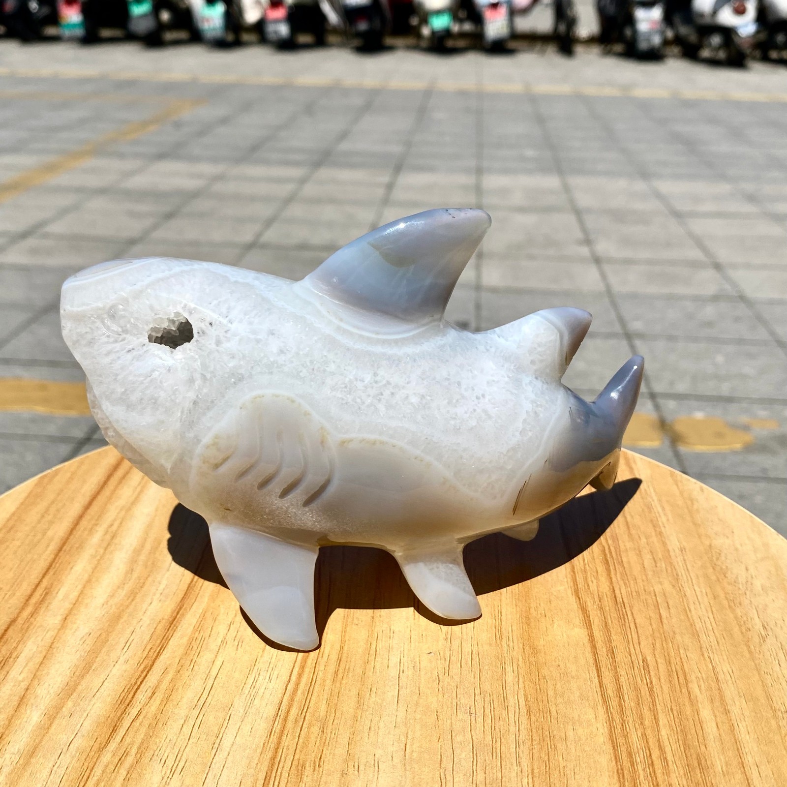 1.65LB Natural Agate Hand Carved Shark Figurine, Ocean Power Crystal Statue