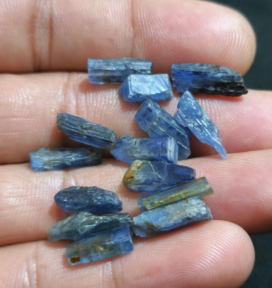 Amazing Blue Kyanite Raw 14 Pcs Lot Size 11-15 MM Loose Gemstone For Jewelry