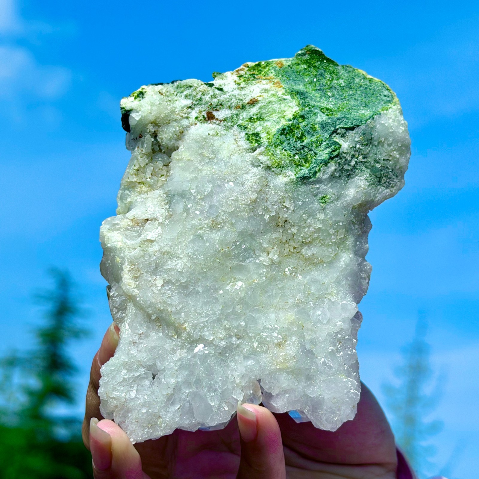 449G Rare!! Natural Clear Crystal with Epidote Garden Quartz Cluster Specimen