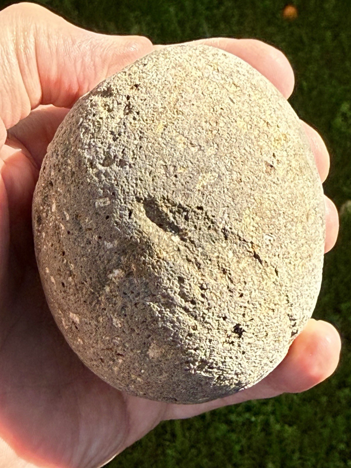 NATURAL SPHERICAL RHYOLITE OR SANDSTONE? CONGLOMERATE ROUND SPHERE STONE ROCK CA