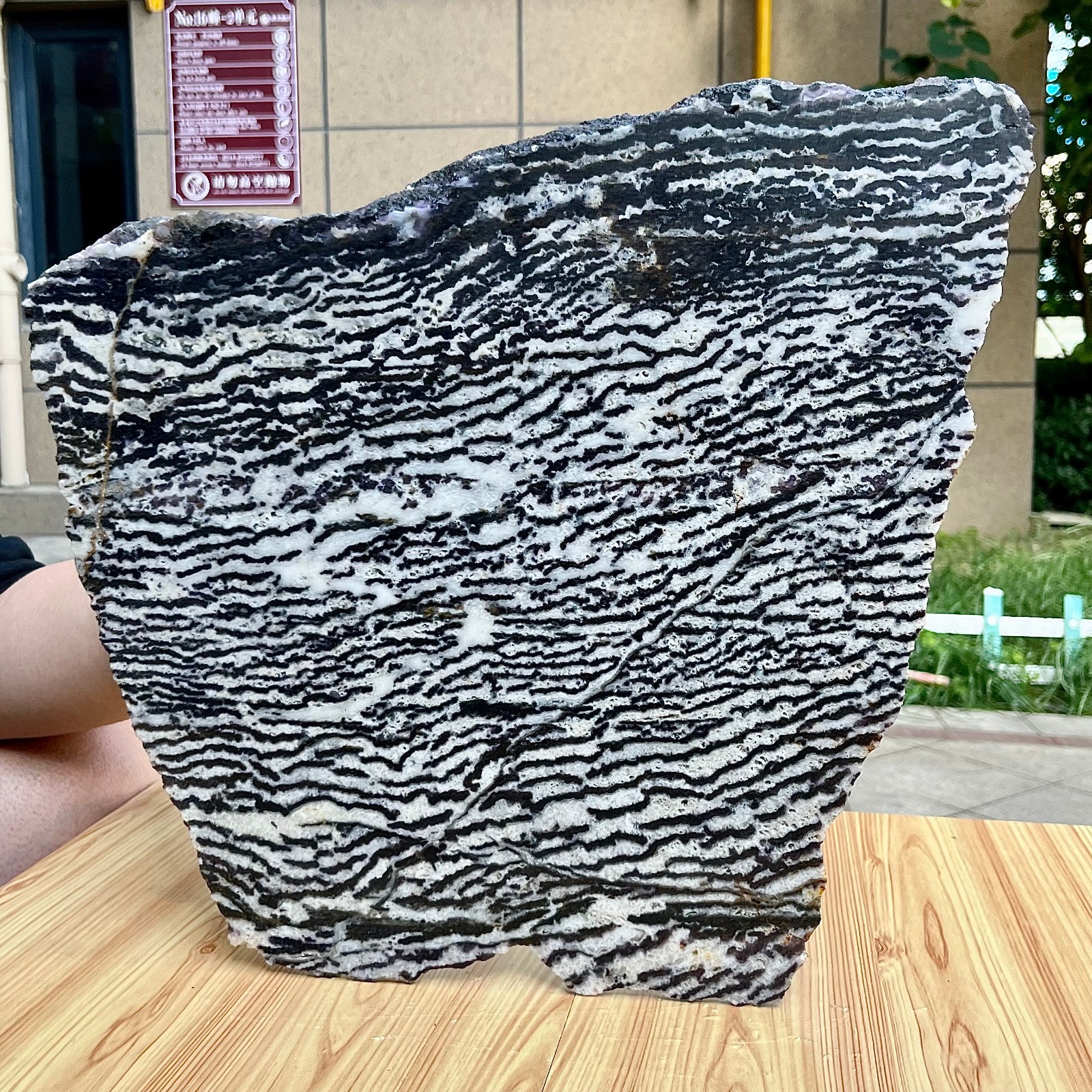 10.5 lb Polished Zebra Stone Freeform Slab Black White Stripe Crystal Specimen