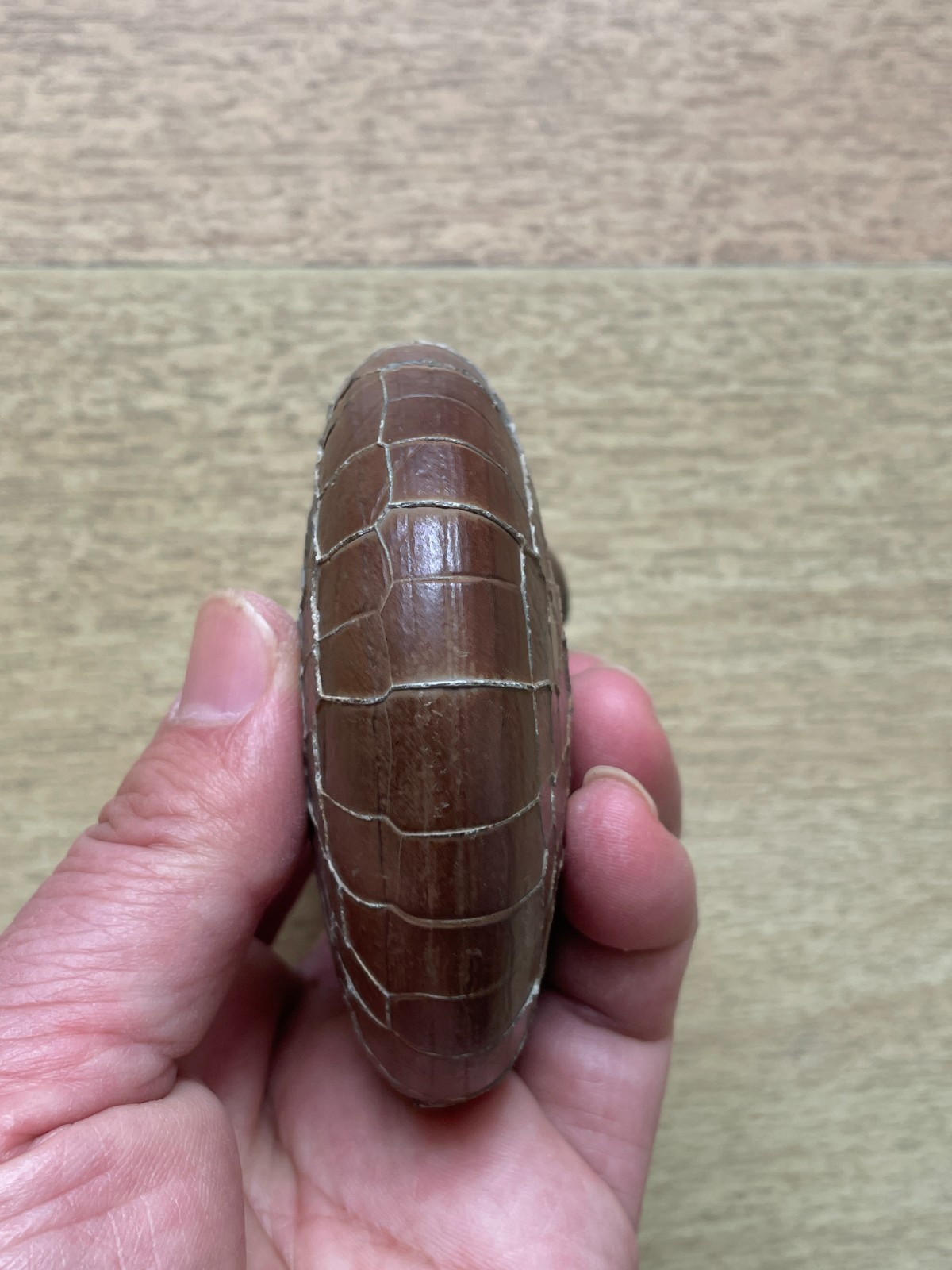412g beautiful Natural tortoise back pattern stone Moire stone Landscape stone