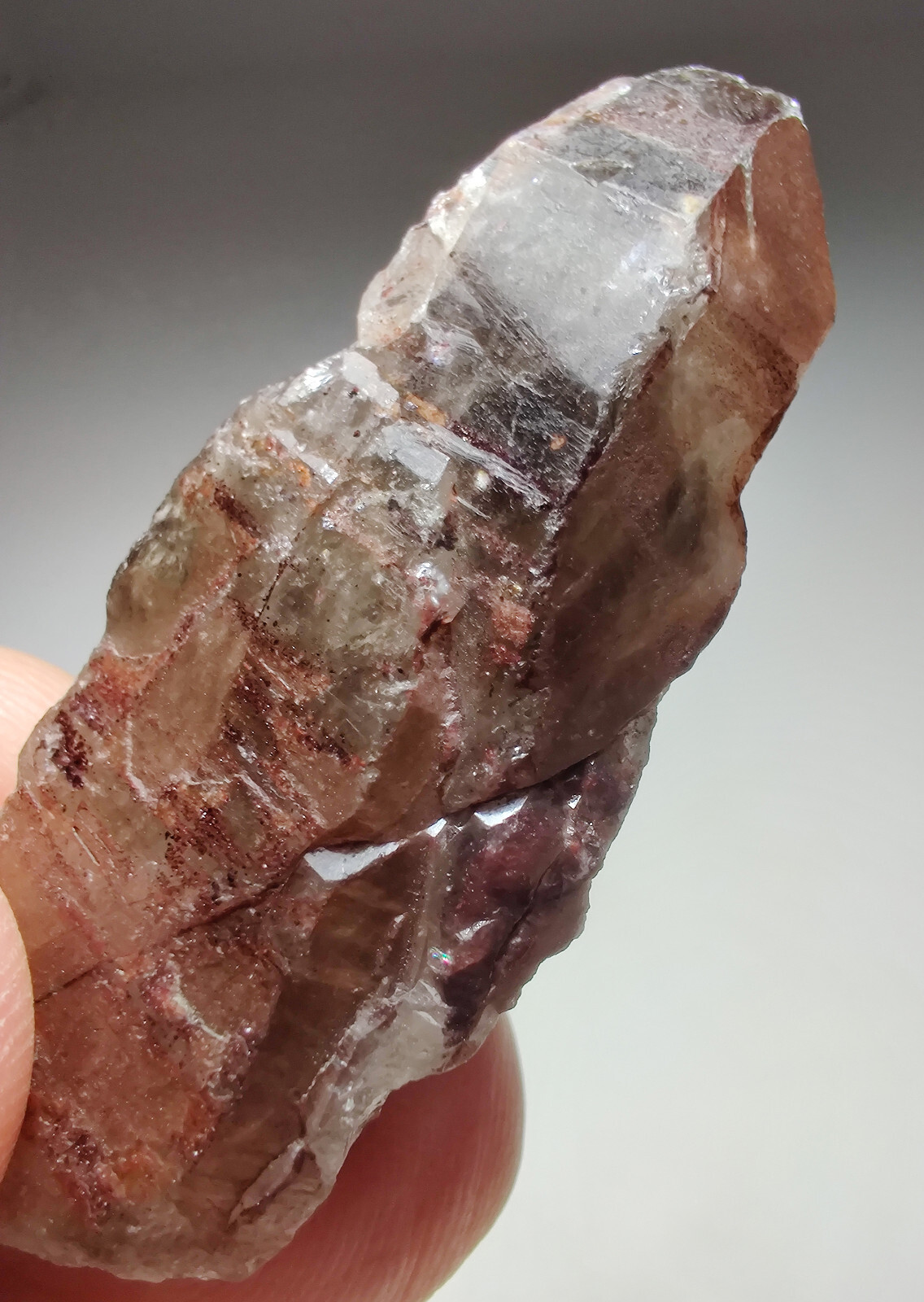 Quartz crystal with Hematite, terminated. Minas Gerais, Brazil. 5 cm.