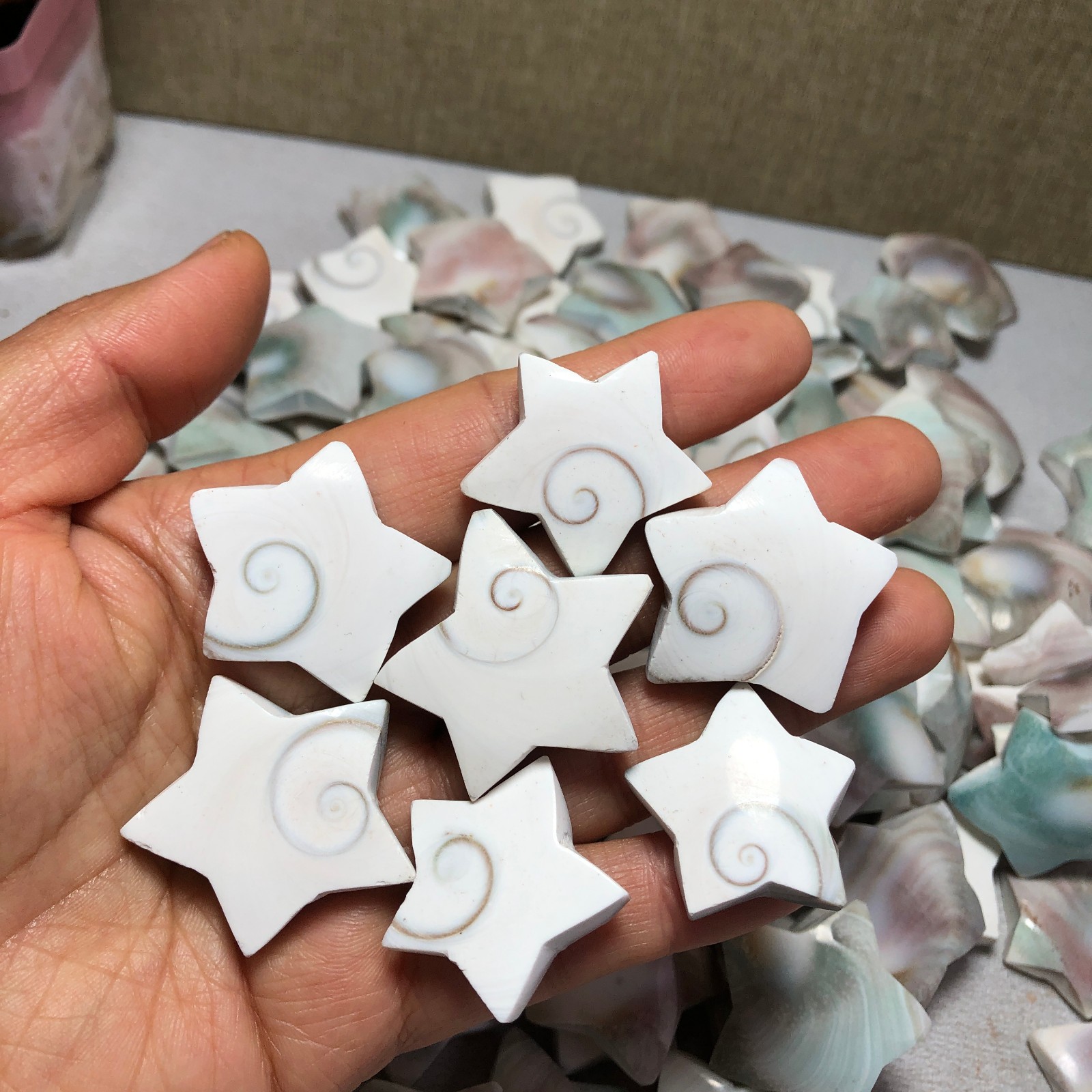 1000g Rare sun shell Reiki Shiva Eye ocean semi-precious stone 100-120pcs A3311
