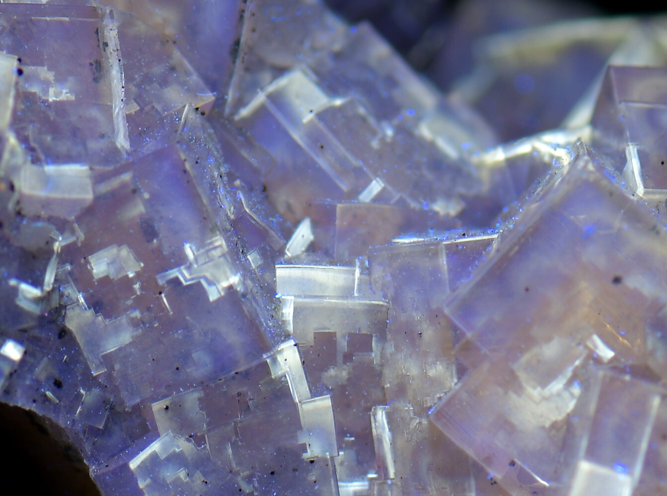 Fluorite crystals & Dolomite, Gorgeous! Moscona Mine, Spain. 7.5 cm.