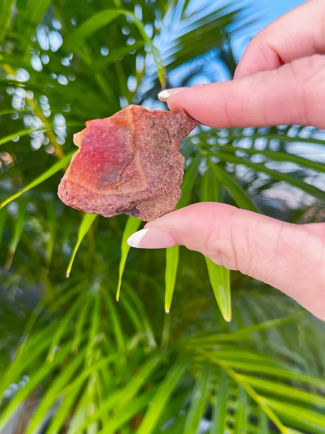 Raw Carnelian Natural Red Agate Healing Mineral Specimen Collectible Gift