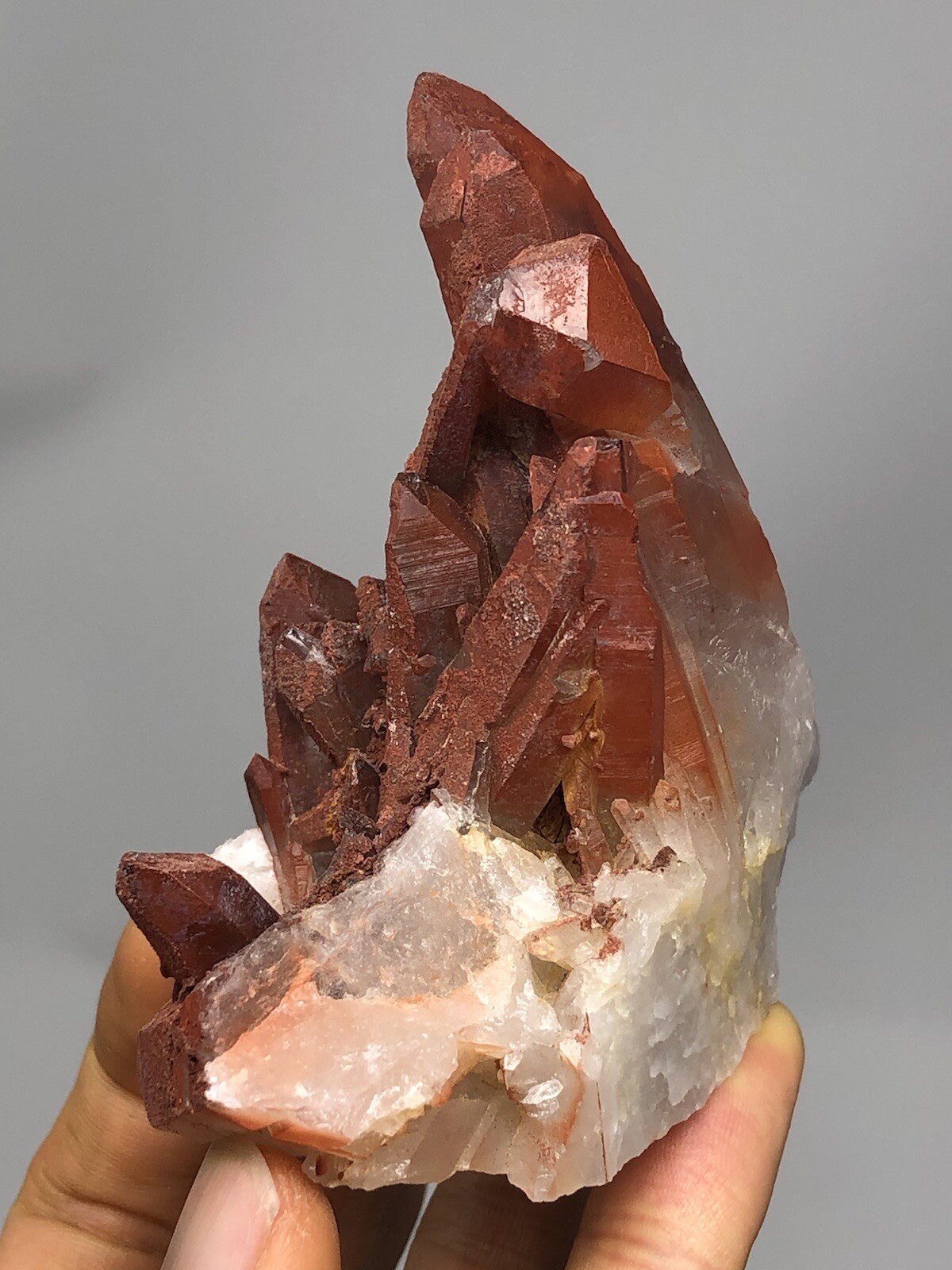 Red Quartz Tabular Wand Crystal Cluster Point Morocco 6.2oz N34