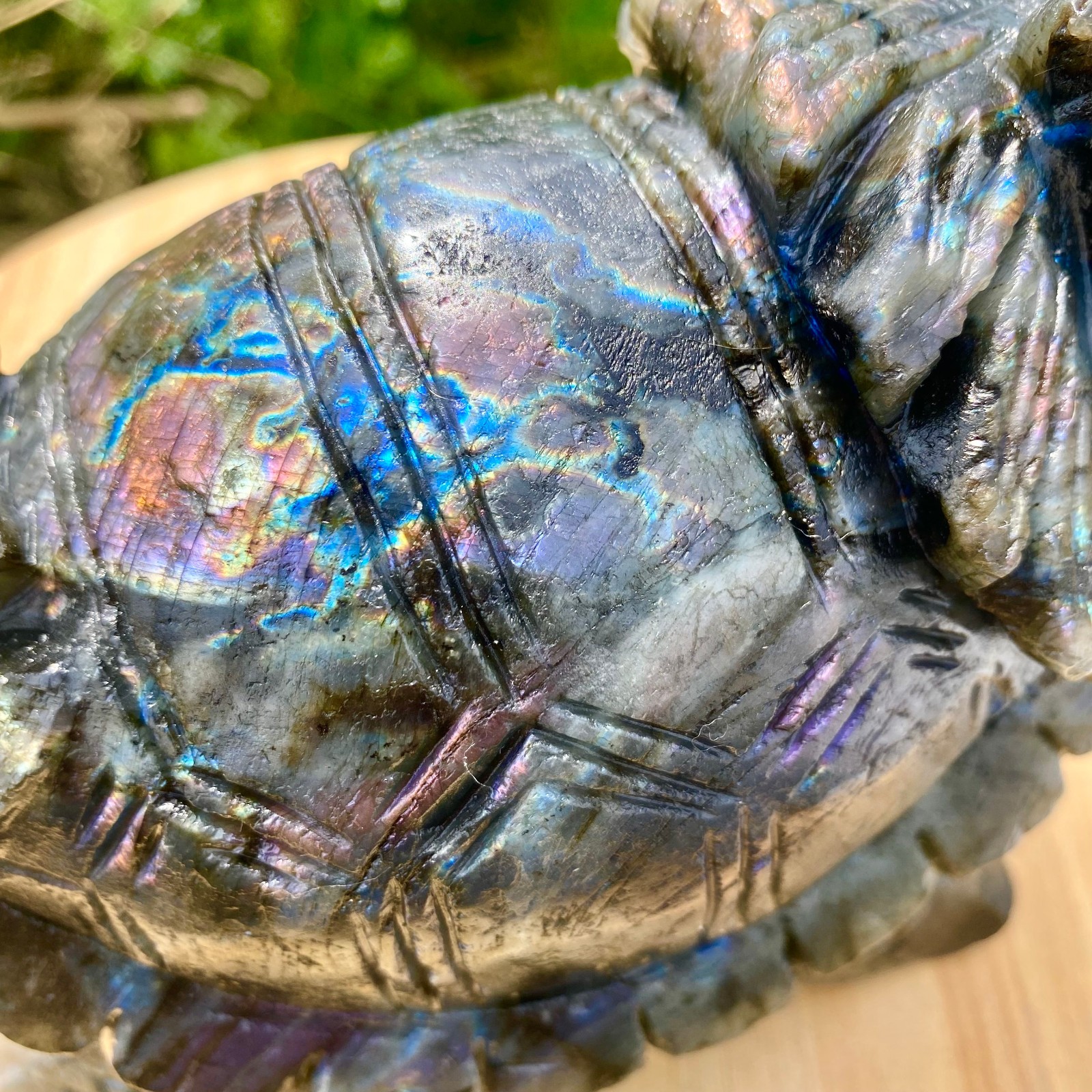4.9LB Natural elongated quartz carved dragon turtle crystal spiritual gift decor
