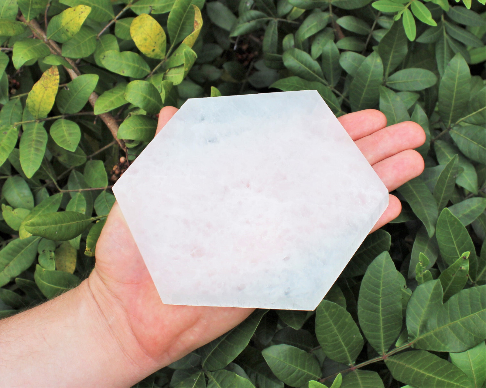 Polished Selenite Charging Station, Hexagon: Choose 3″, 4″ or 6″ (Cleansing)