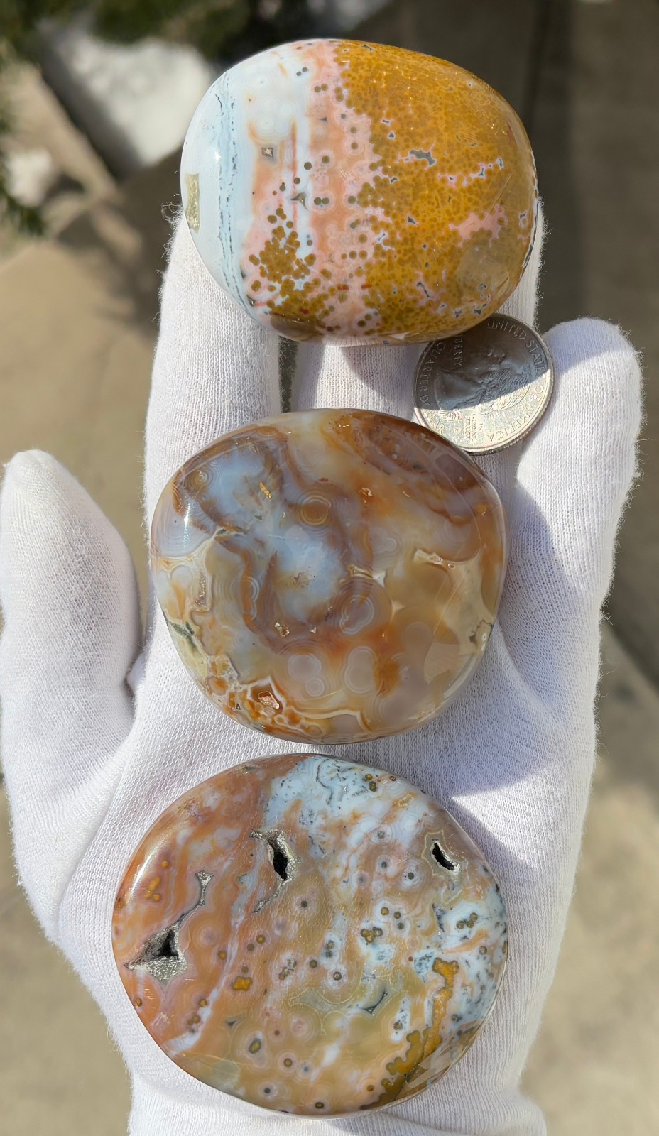 US SALE 297g LOT 3 OCEAN JASPER with 8th VEIN 8 OJ PALM STONES PALM STONE STONES