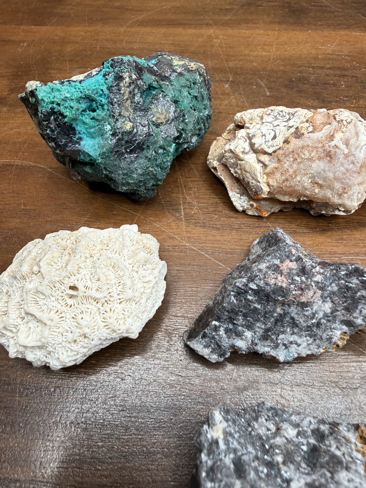 Rock & Mineral Collection Agate Fossils Tumbled Stones Garnet Mixed Gem Lot