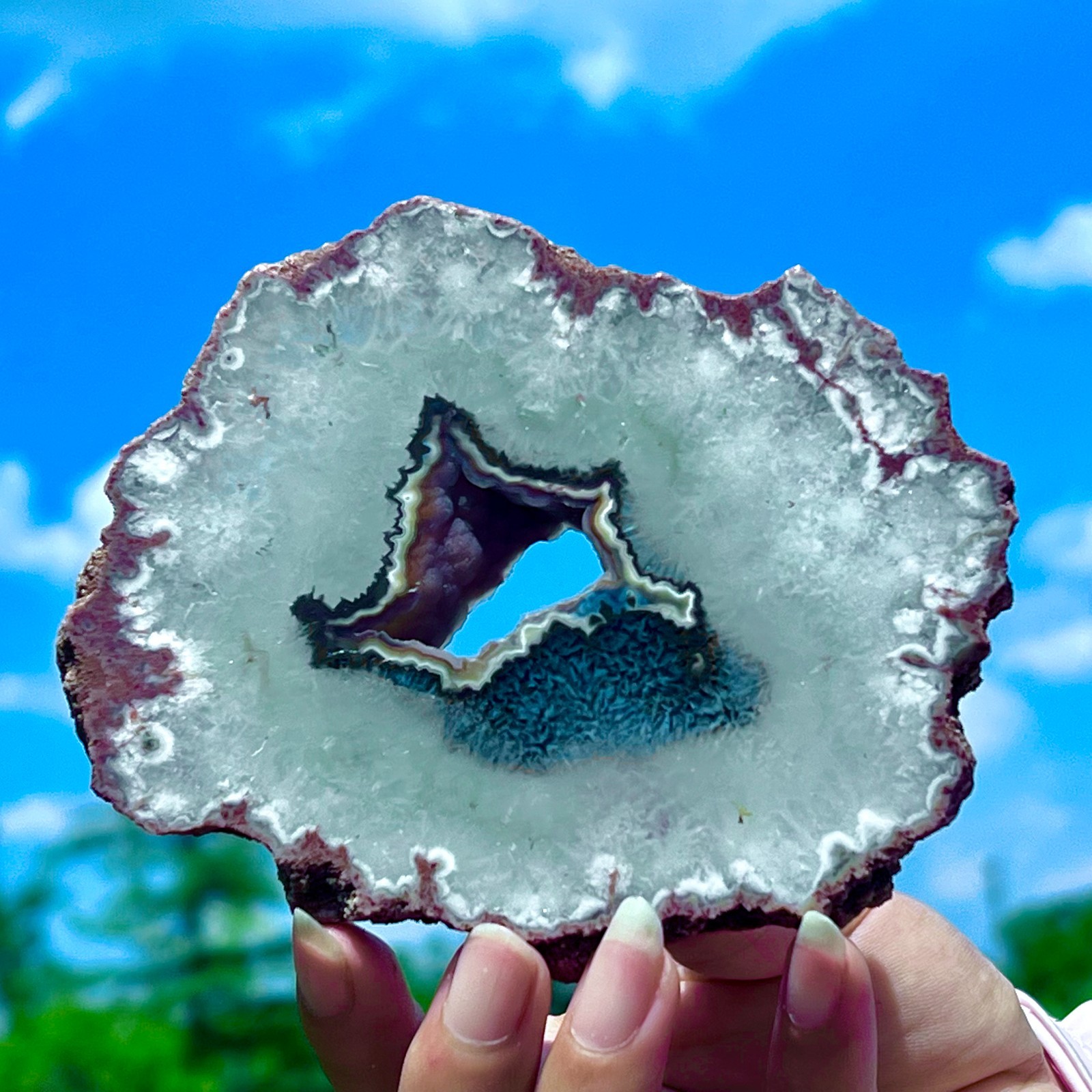 212G Natural Colorful Lace Agate Geode Slice Extra Large Gem From Argentina