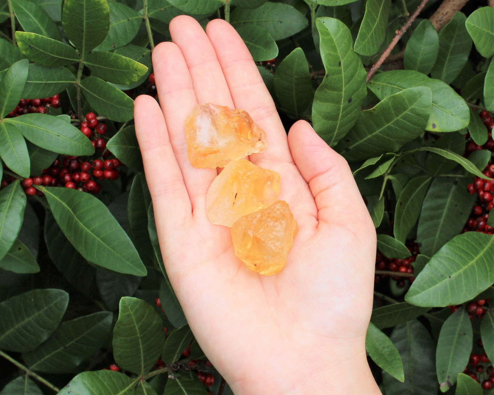 Rough Citrine Crystals: 5 Piece Lot Raw (Gold / Yellow , 1″ – 2″)
