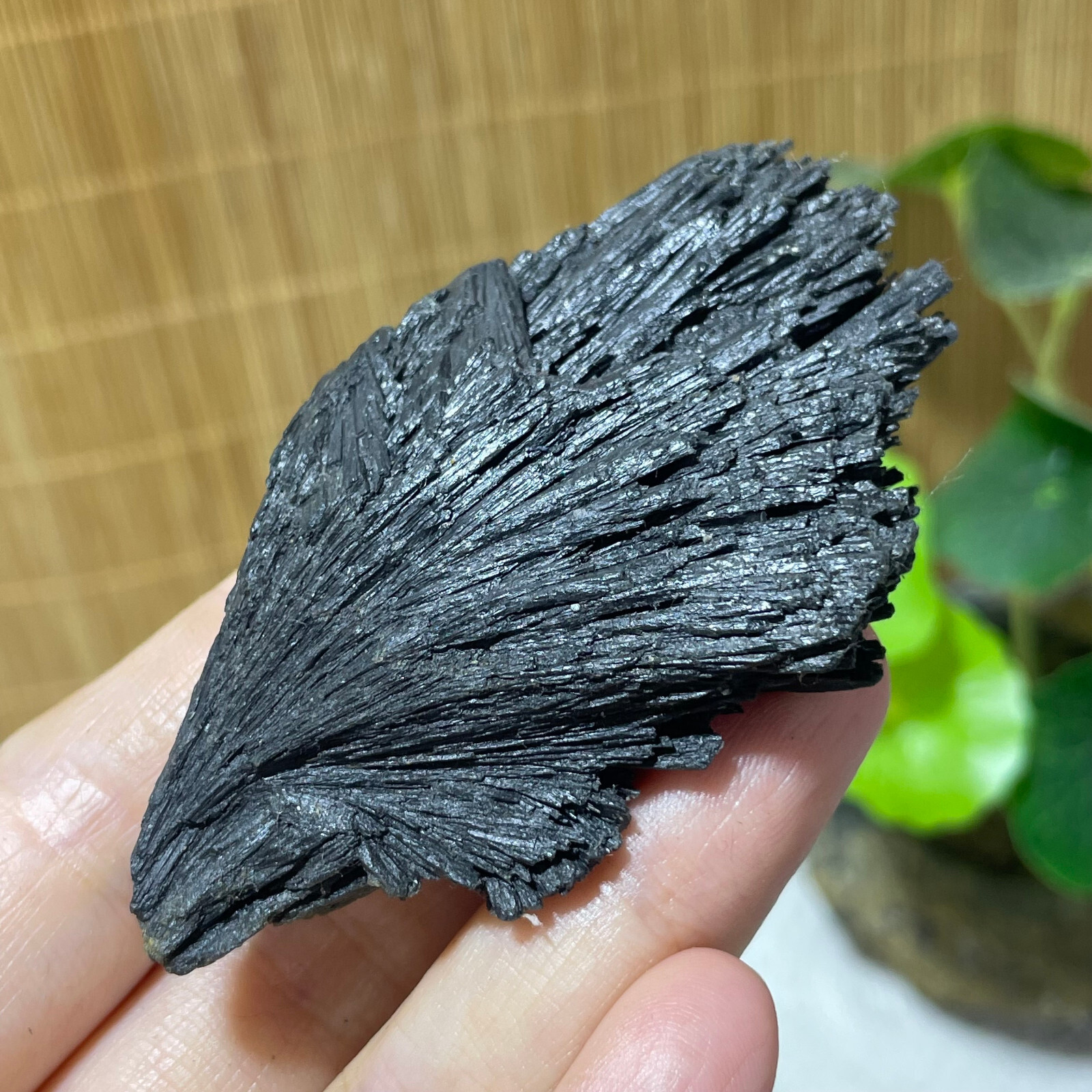 64g Natural Irregular natural black crystal cluster mineral specimen（dian qishi）