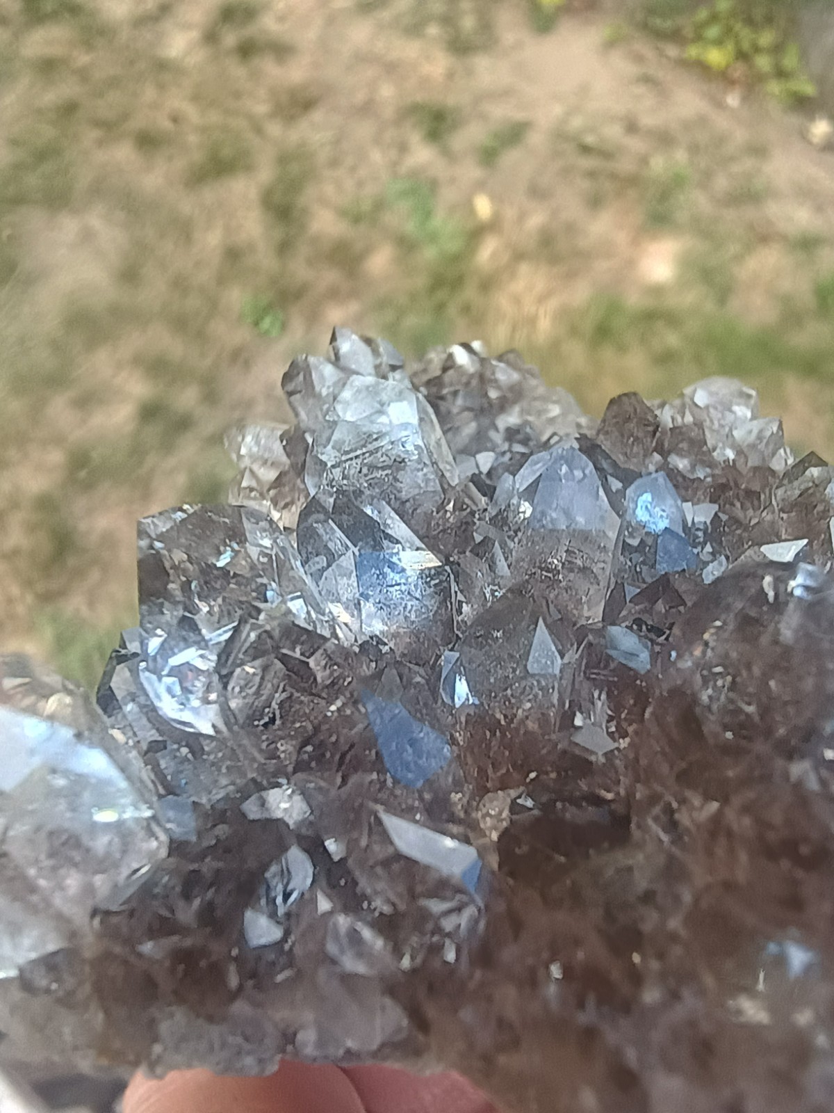 Herkimer 💎Perchers On 🖤 Smokey Druze Plate (Rare Piece) Miner Direct ⚒️