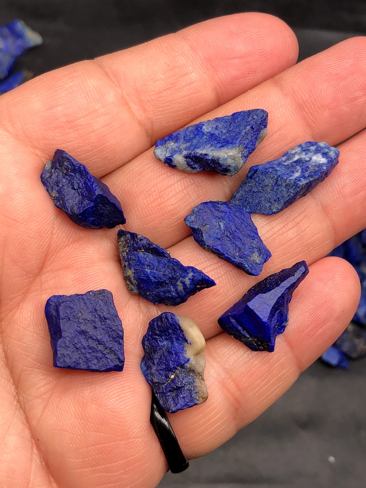 Natural Lapis Lazuli Raw Rough Mine Stone w/Pyrite Chakra Healing 14grams M476.4