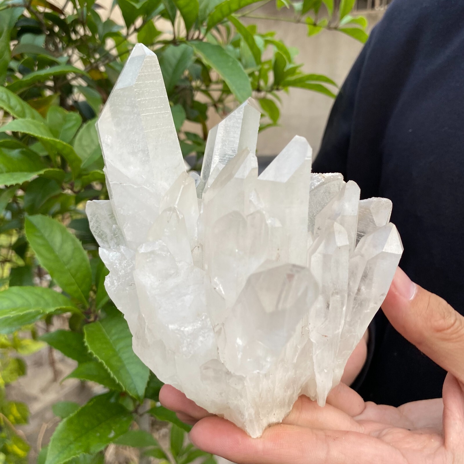 2.4lb Natural Clear White quart Crystal Cluster Raw Healing Specimen
