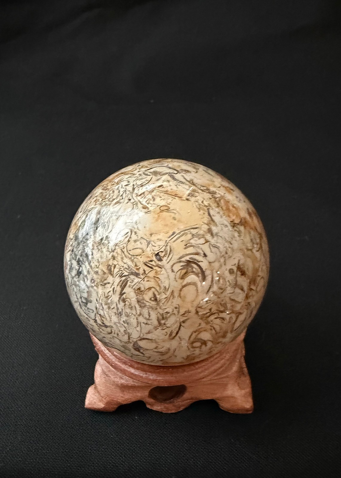 54mm Natural Fossil Shell Stone Sphere Polished Crystal Orb Display Ball