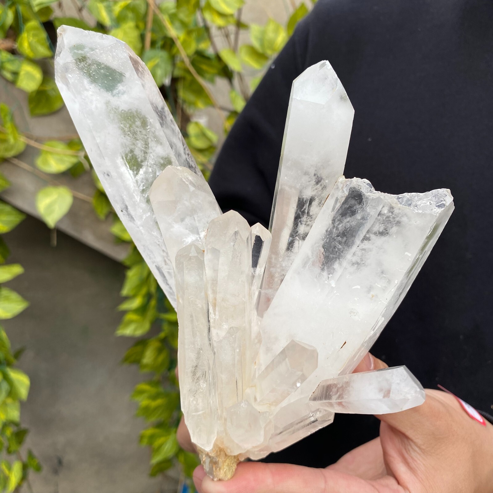 2.3lb Natural Clear White quart Crystal Cluster Raw Healing Specimen