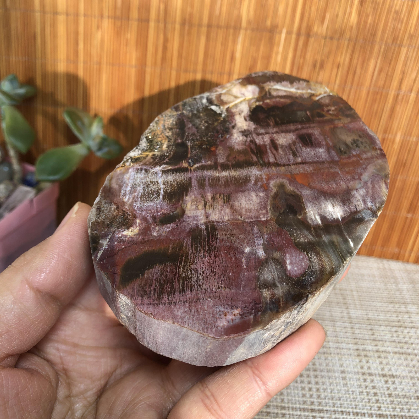 109mm natural Beautiful Petrified Wood Crystal Slice mineral specimen 341g A4860