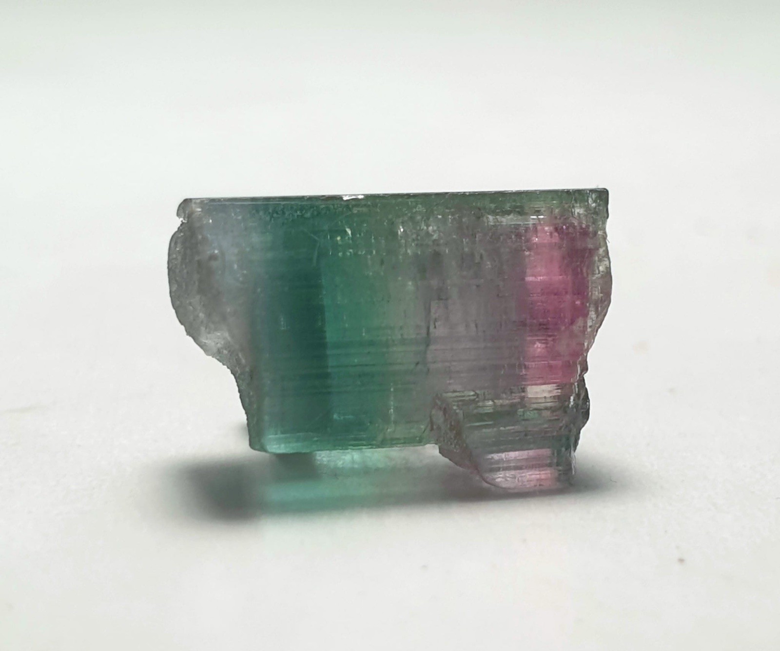 Saturated Top Quality Twin MultiColour Watermelon Terminated Tourmaline Crystal