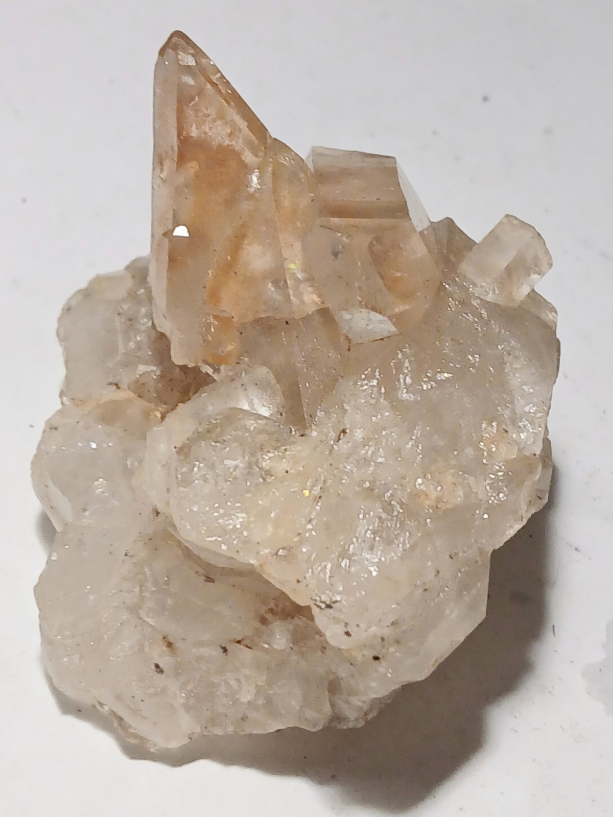 Rose Quartz Crystal Cluster raw natural specimen