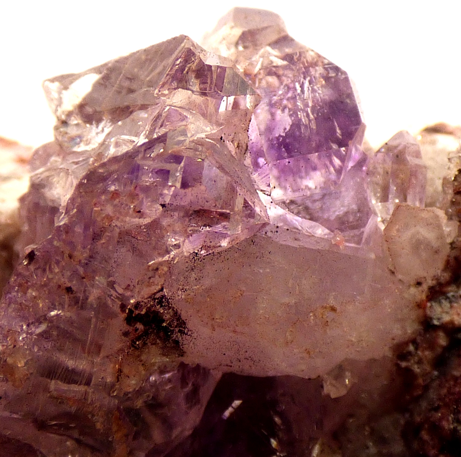 Amethyst Quartz Crystals Sonoran Desert Mexico Mineral Specimen 3.5cm