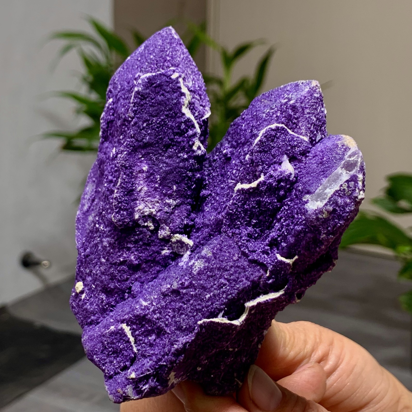 449G Natural purple fluorite wrapped candle crystal cluster mineral crystals