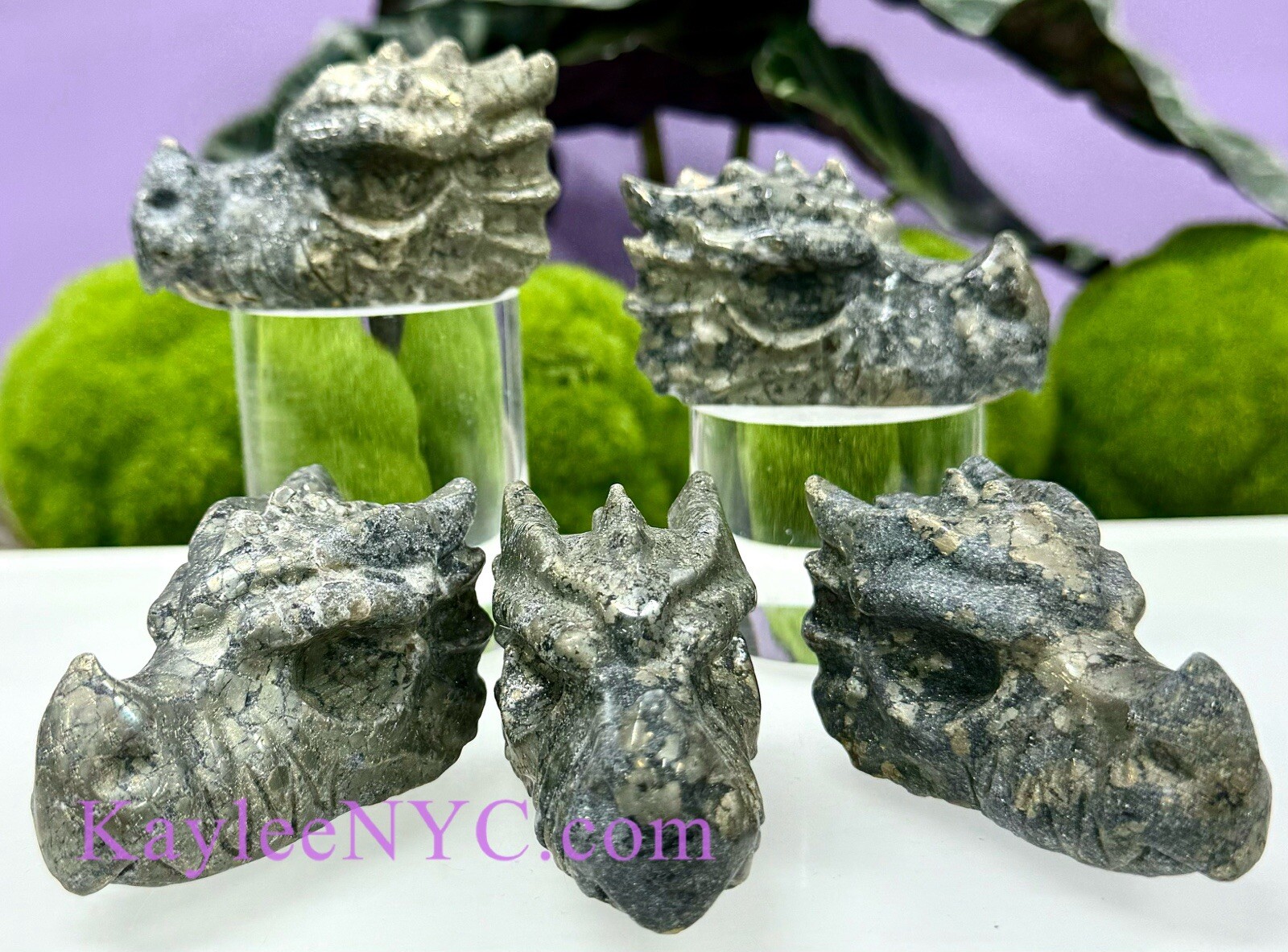 Wholesale Lot 5 Pcs 7.5cm Natural Black Pyrite Dragon Head
