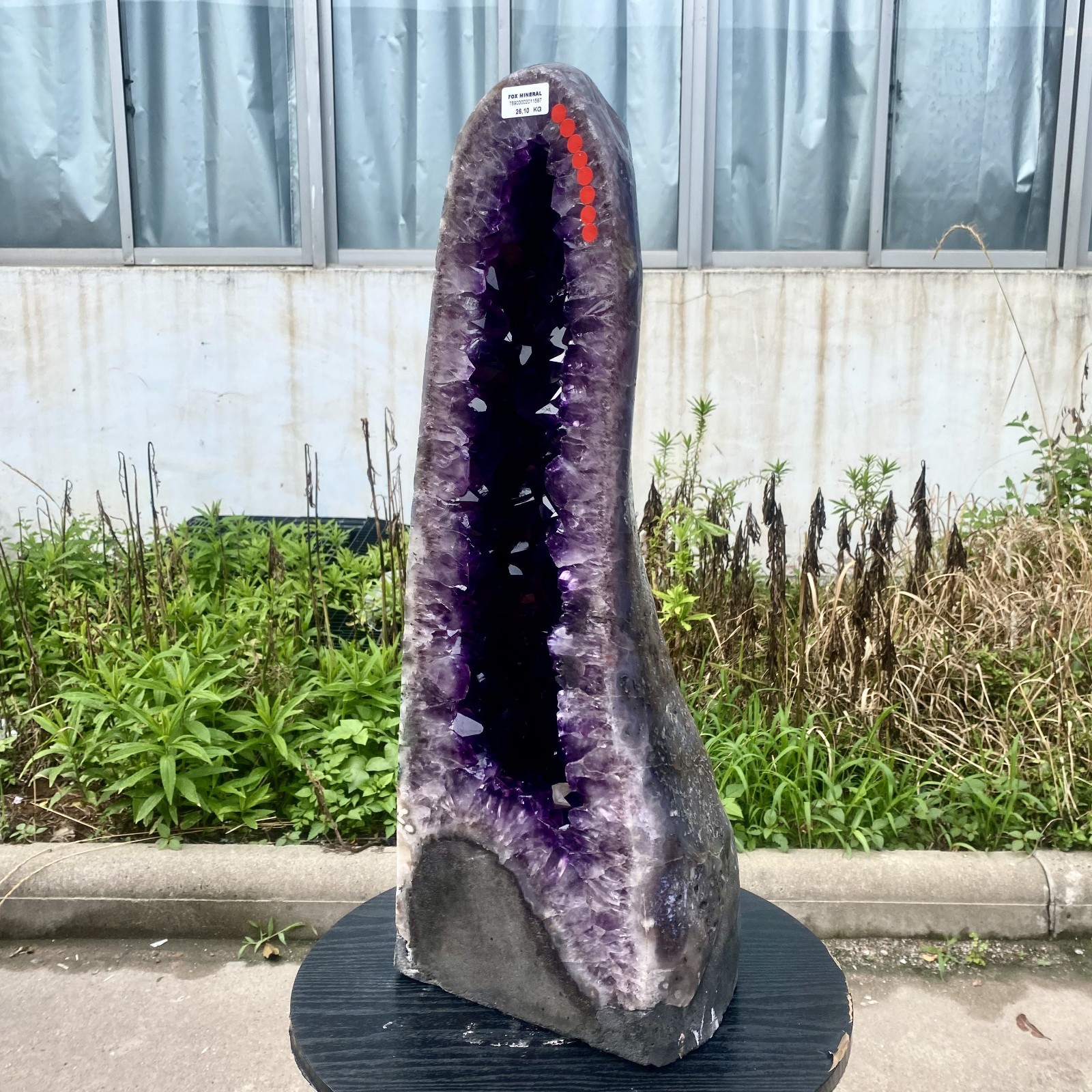 57LB Large Natural Amethyst Geode Cathedral Crystal Cluster Specimen Healing